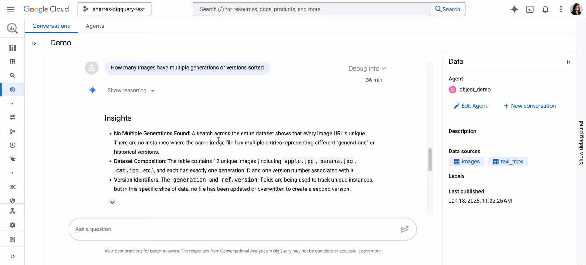 Conversational Analytics answering a specific question about duplicate image generations and versions, citing the actual generation and version fields it checked